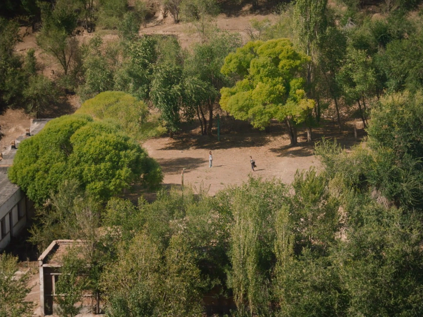 The Botanist screenshot 4