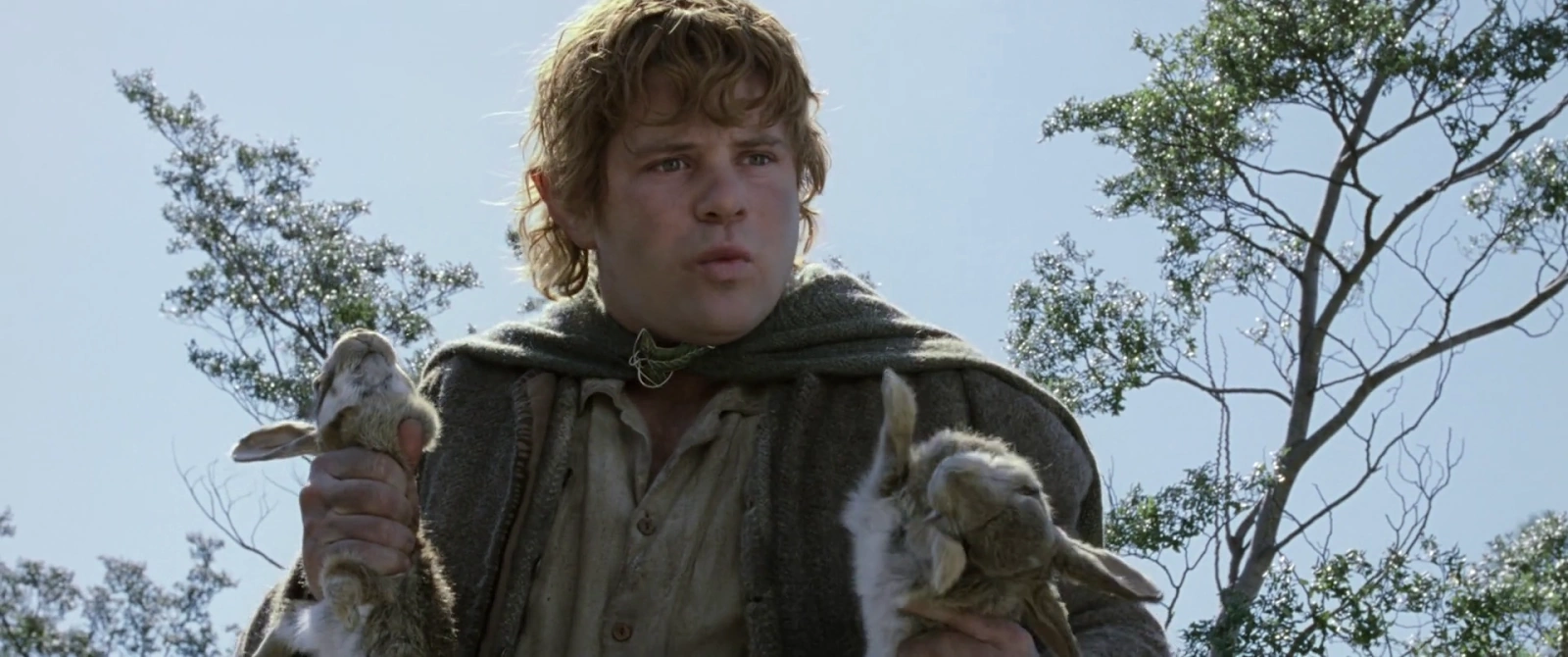 The Lord of the Rings: The Two Towers screenshot 3