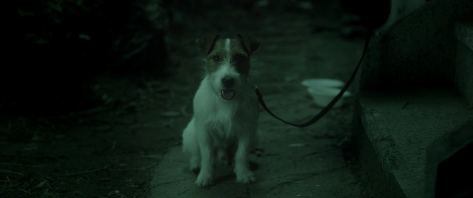How to Steal a Dog screenshot 1
