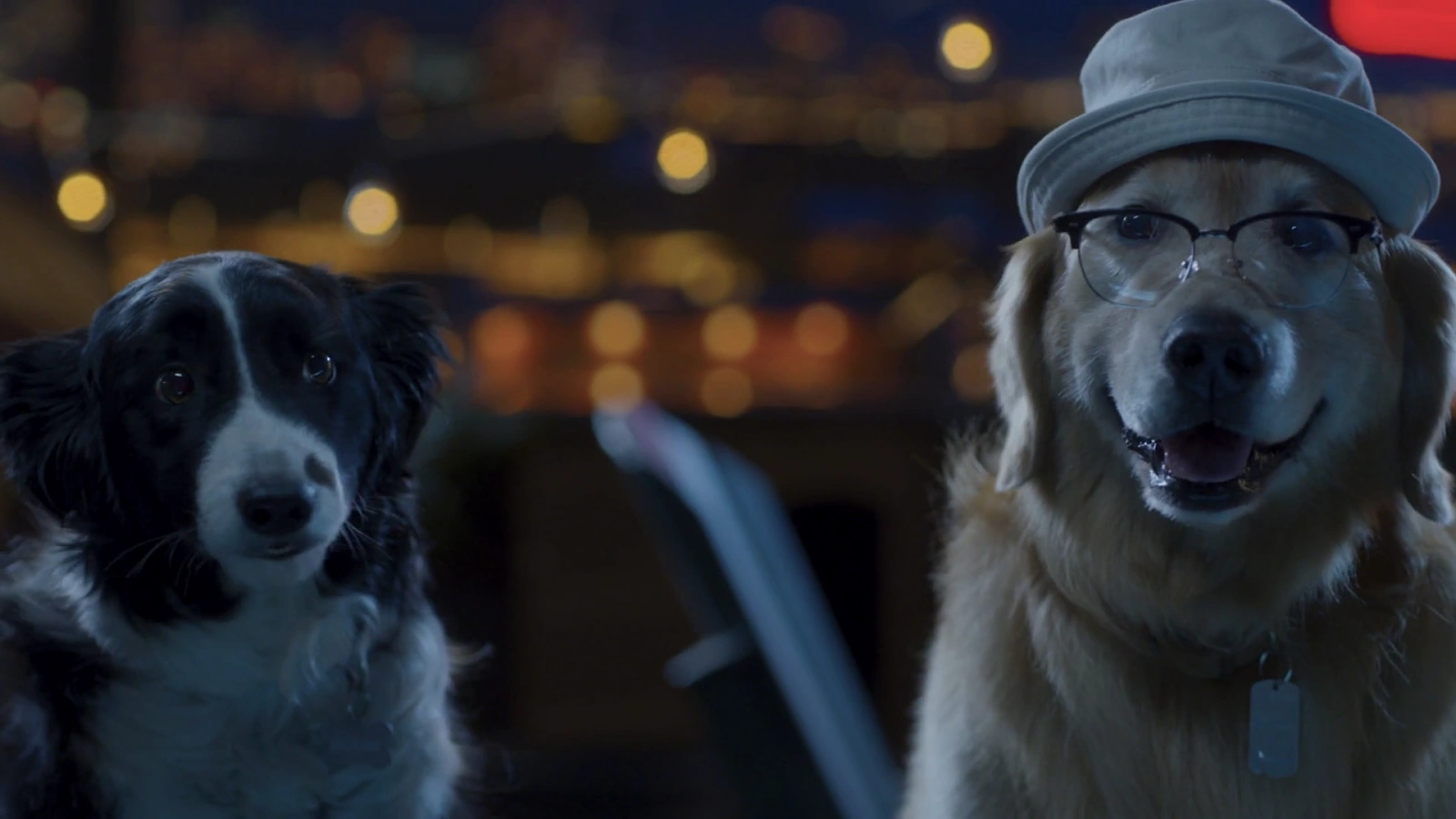 Cats & Dogs 3: Paws Unite screenshot 5