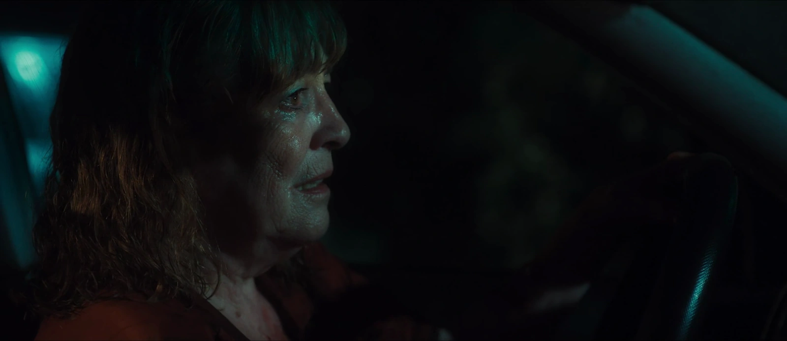 Crazy Old Lady screenshot 1