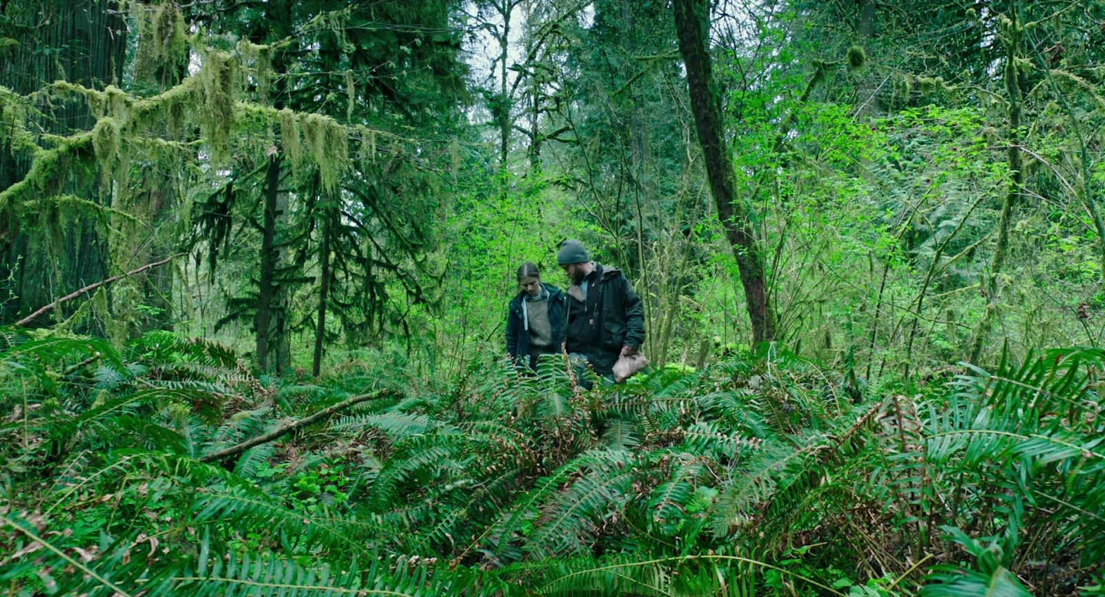 Leave No Trace screenshot 1