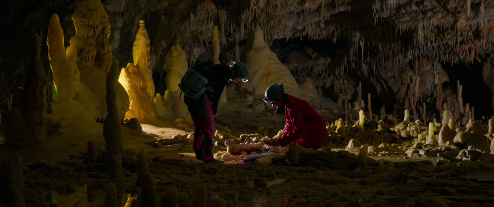 Secrets of the Neanderthals screenshot 4