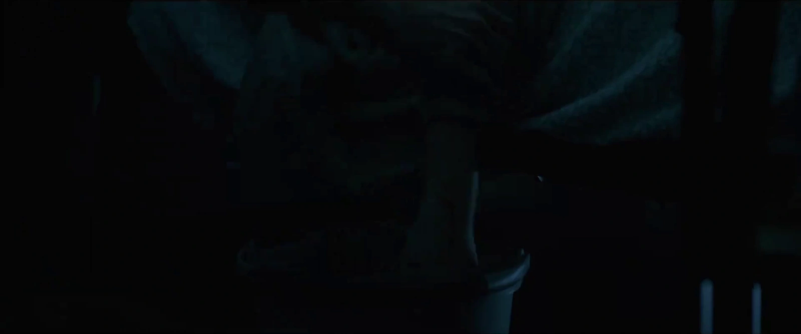 Bag of Lies screenshot 1