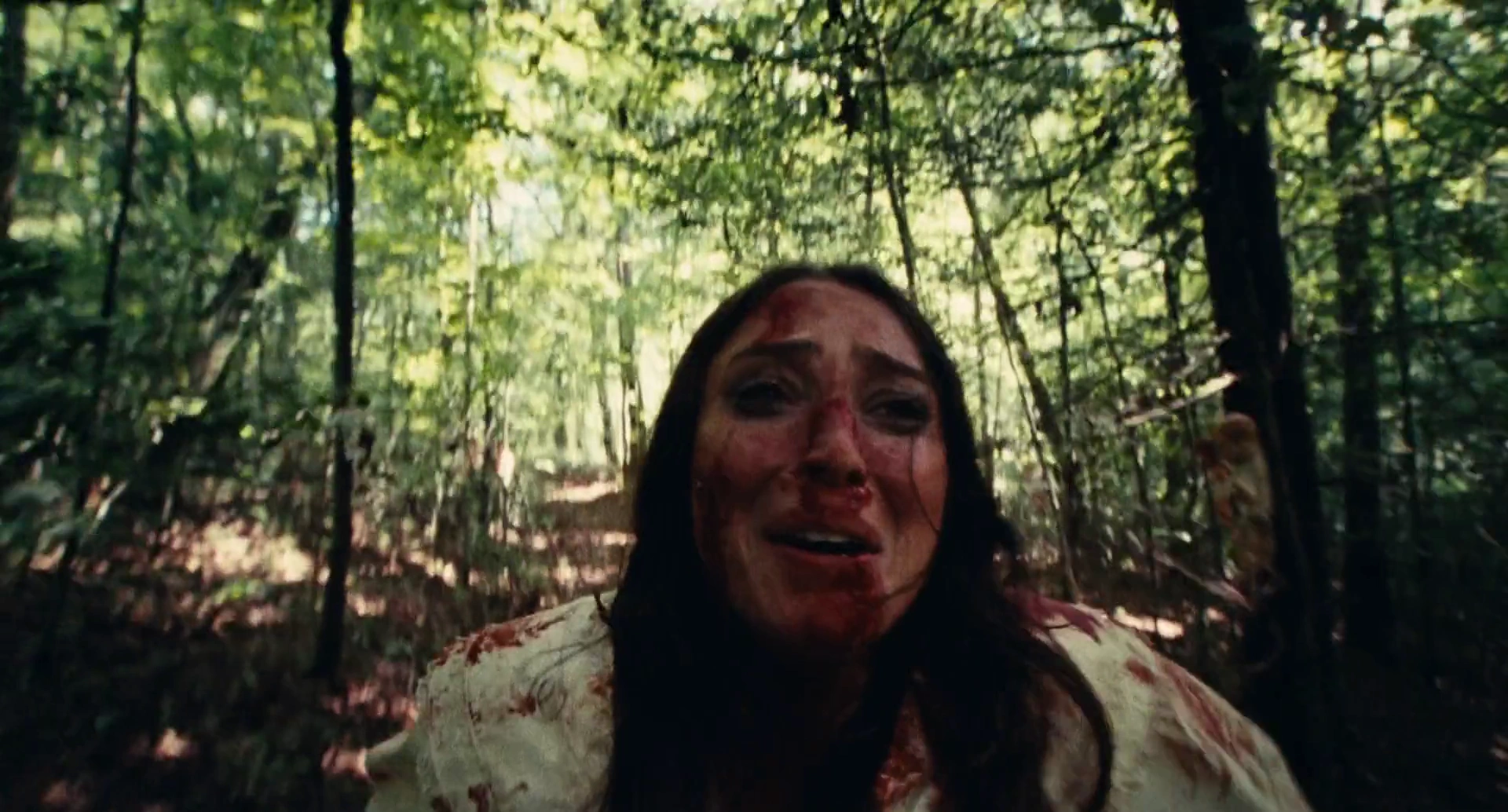Dolly screenshot 1