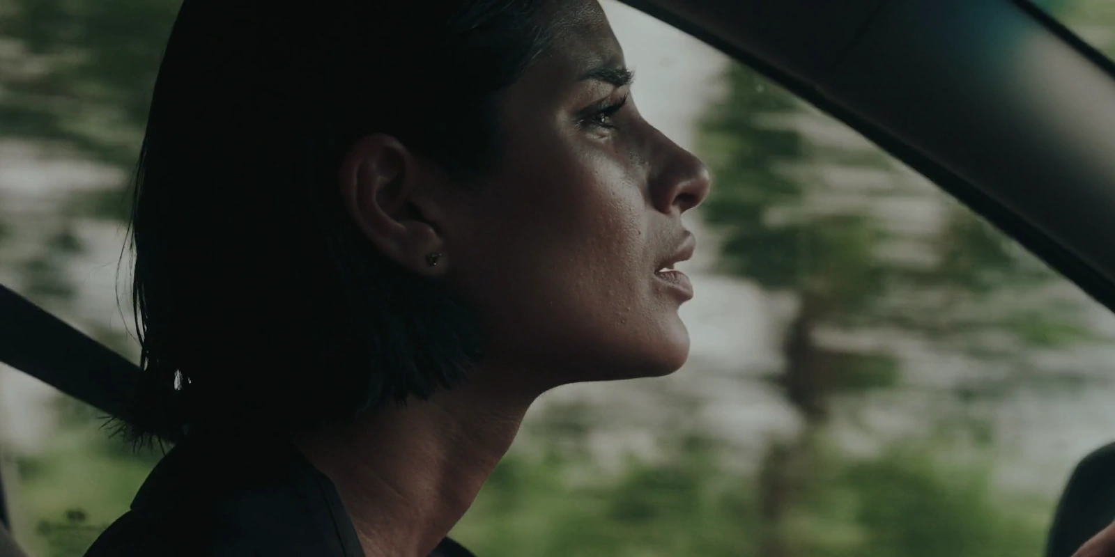The Whistler screenshot 2
