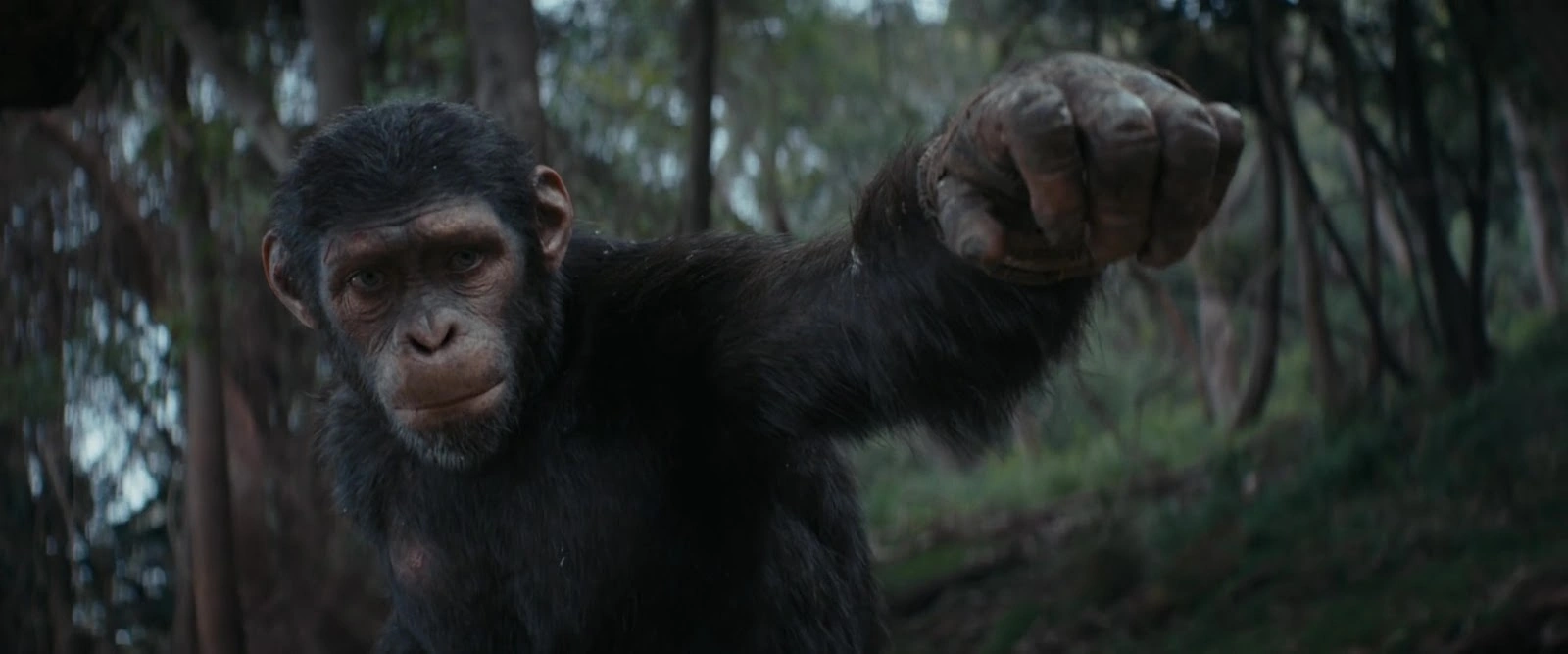 Kingdom of the Planet of the Apes screenshot 1