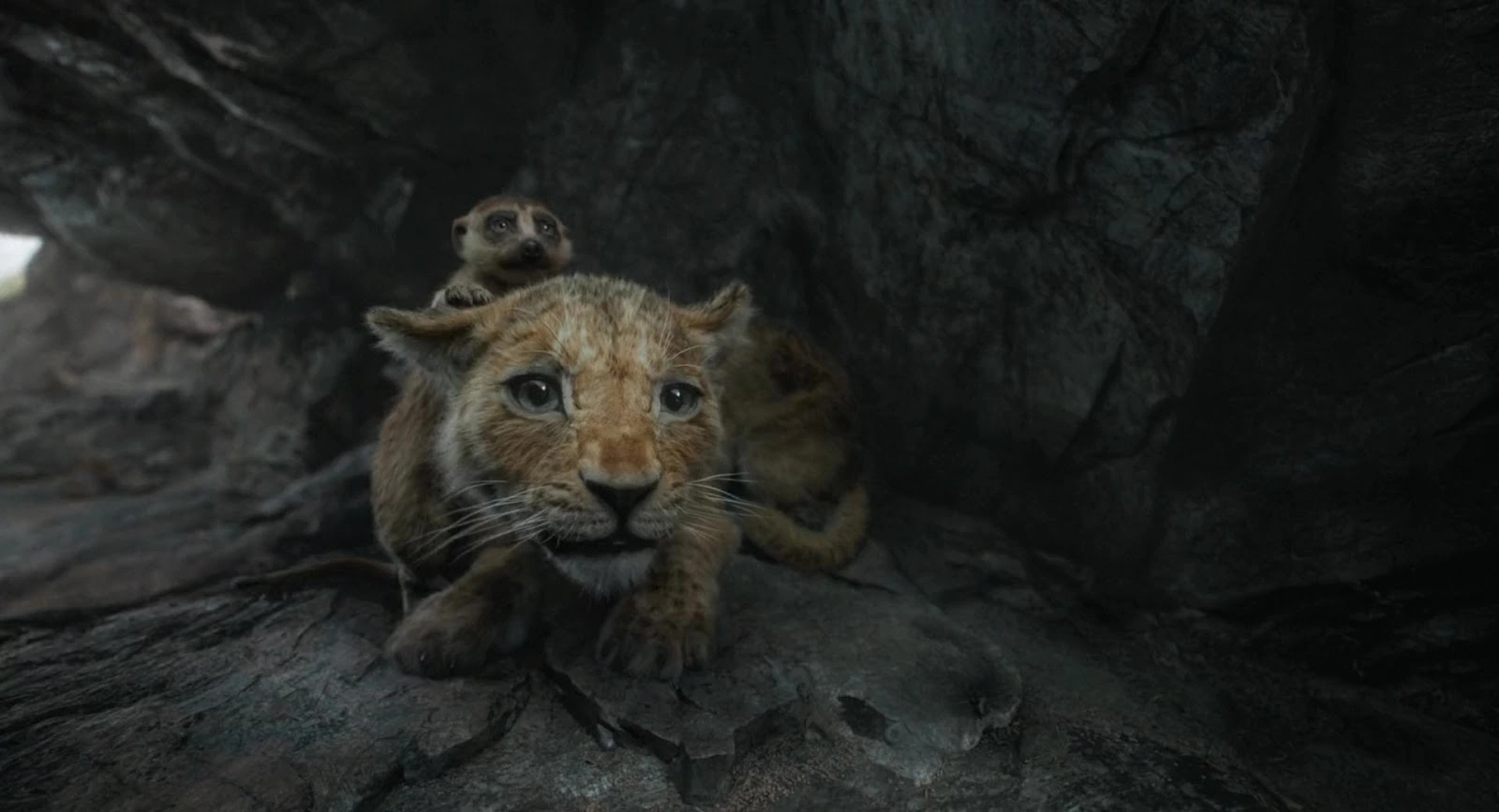 Mufasa: The Lion King screenshot 1