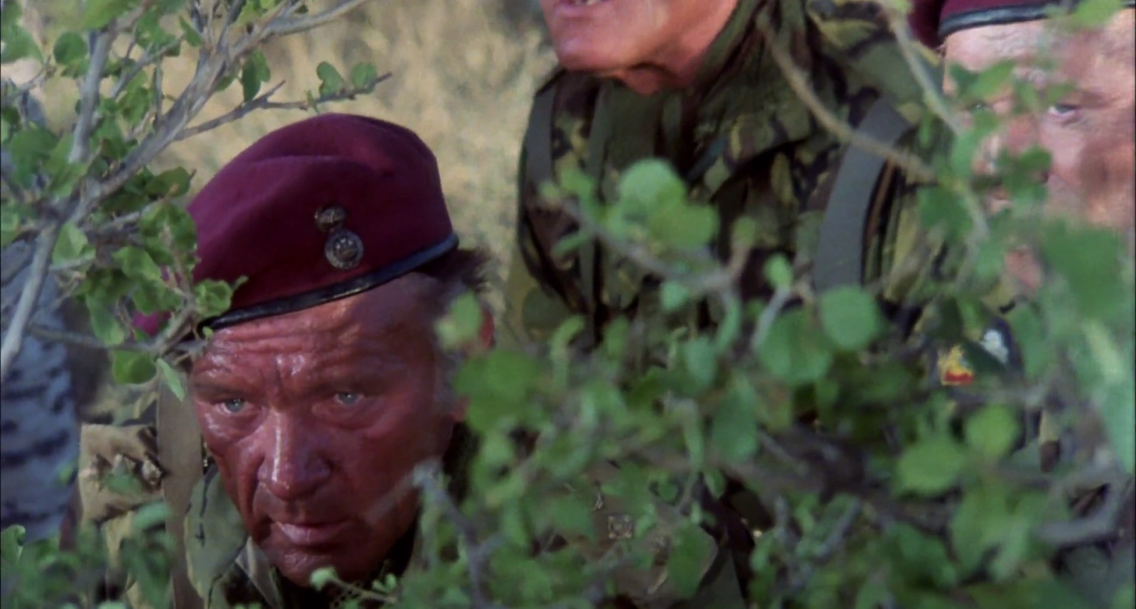 The Wild Geese screenshot 2