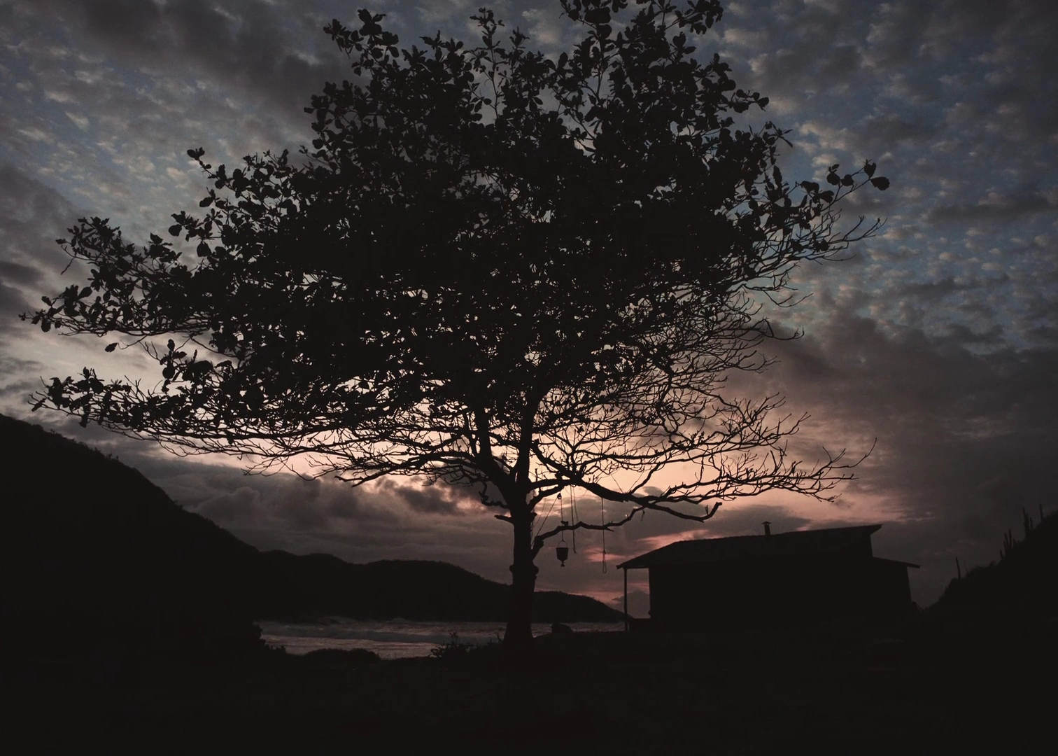 The Son of a Thousand Men screenshot 2