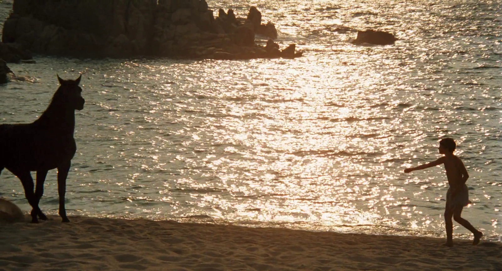 The Black Stallion screenshot 1