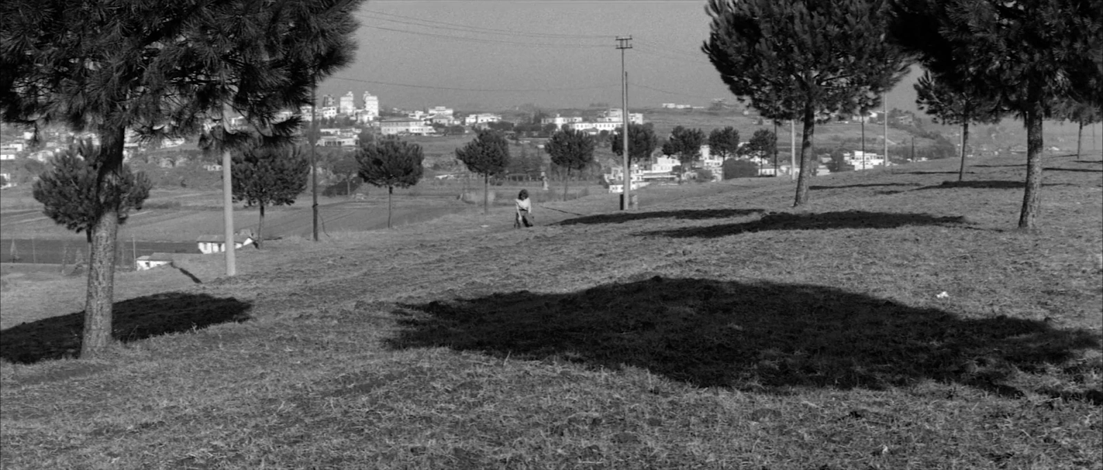 The Last Man on Earth screenshot 2