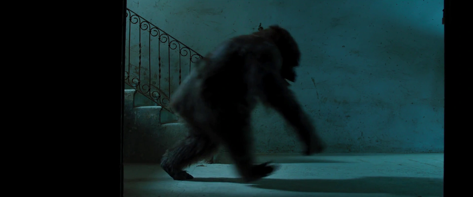 Beware the Gorilla screenshot 1