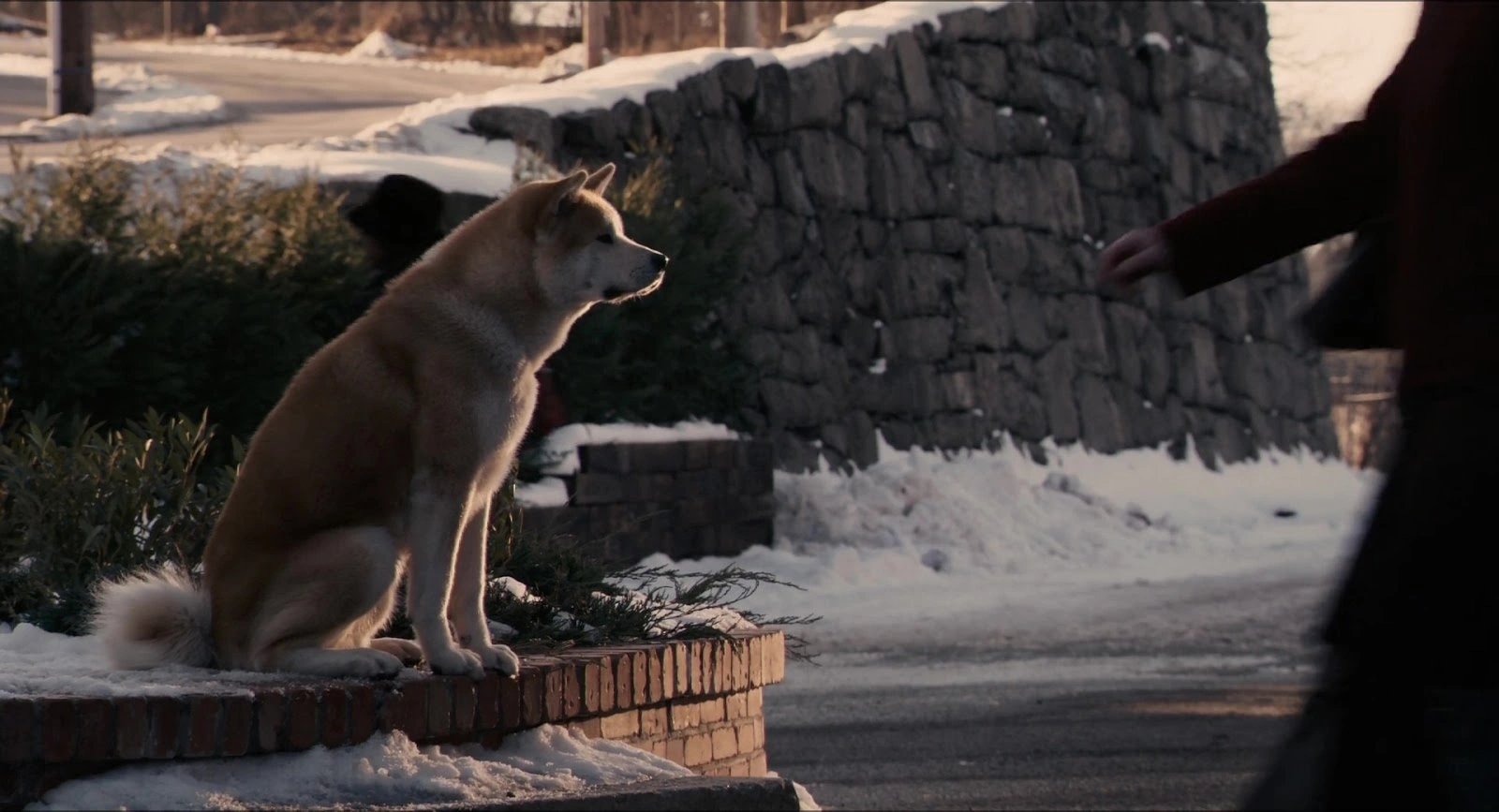 Hachi: A Dog's Tale screenshot 4
