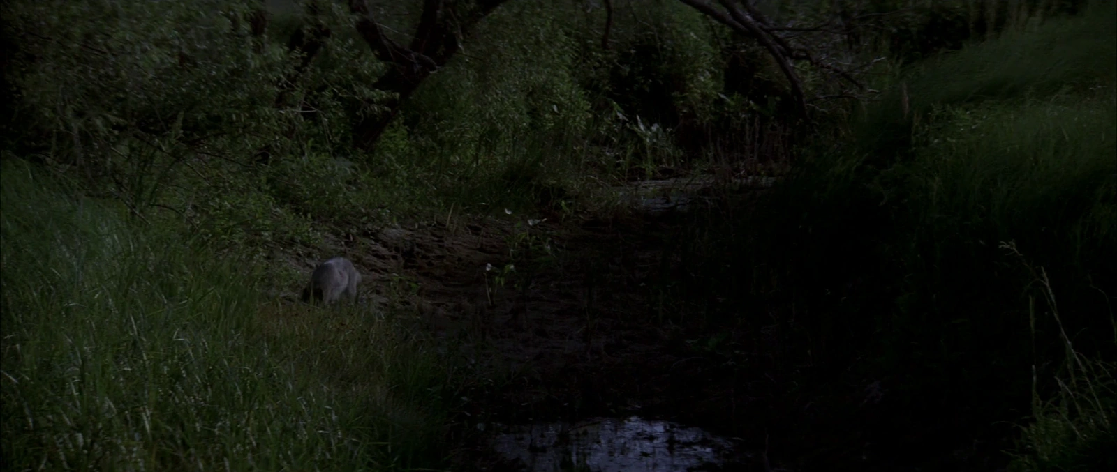 Dances with Wolves screenshot 3