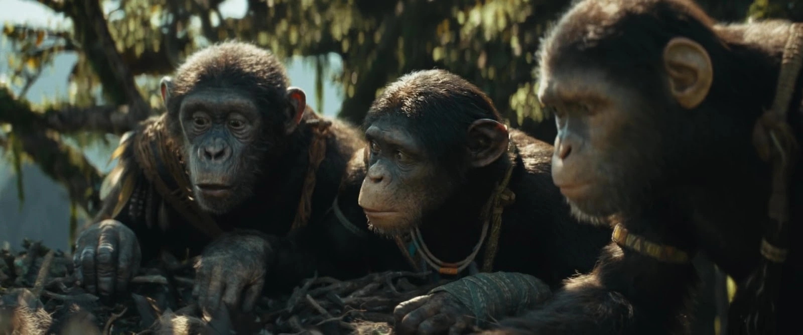 Kingdom of the Planet of the Apes screenshot 4