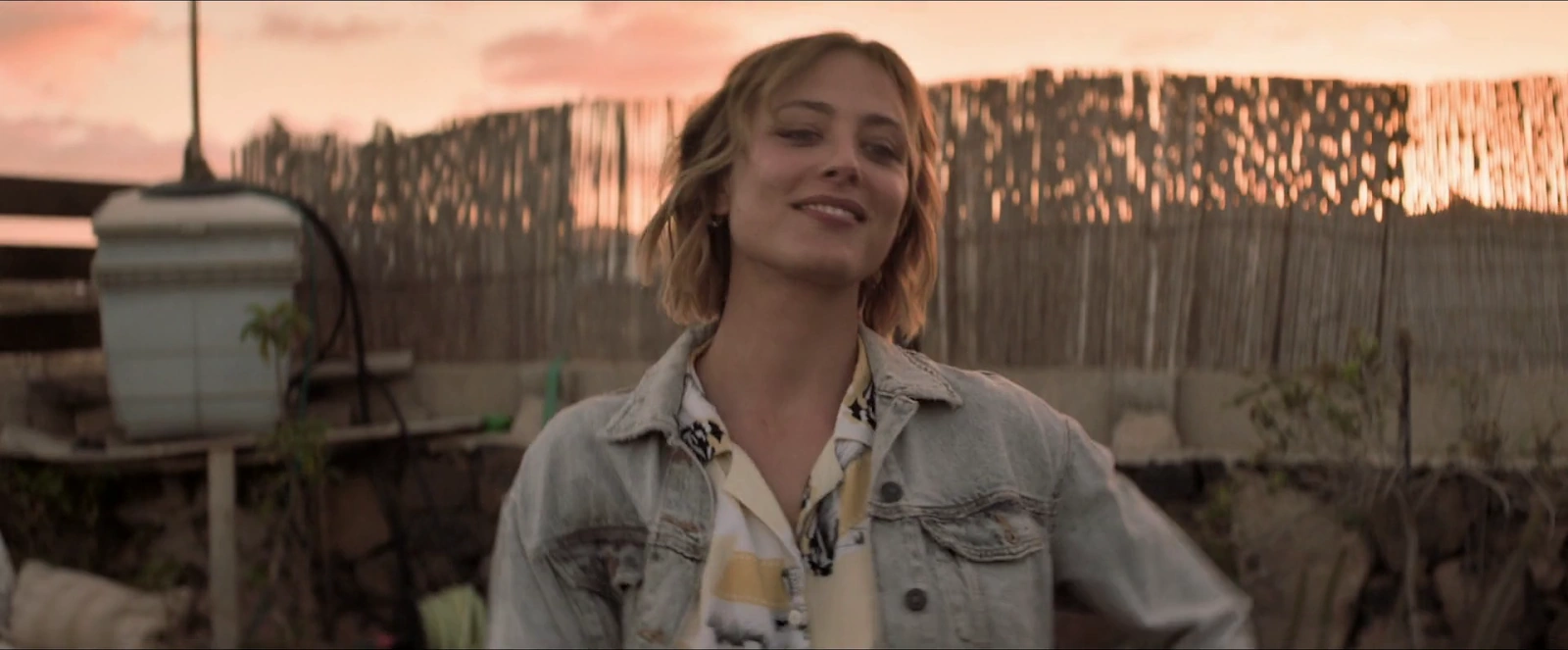 American Star screenshot 3
