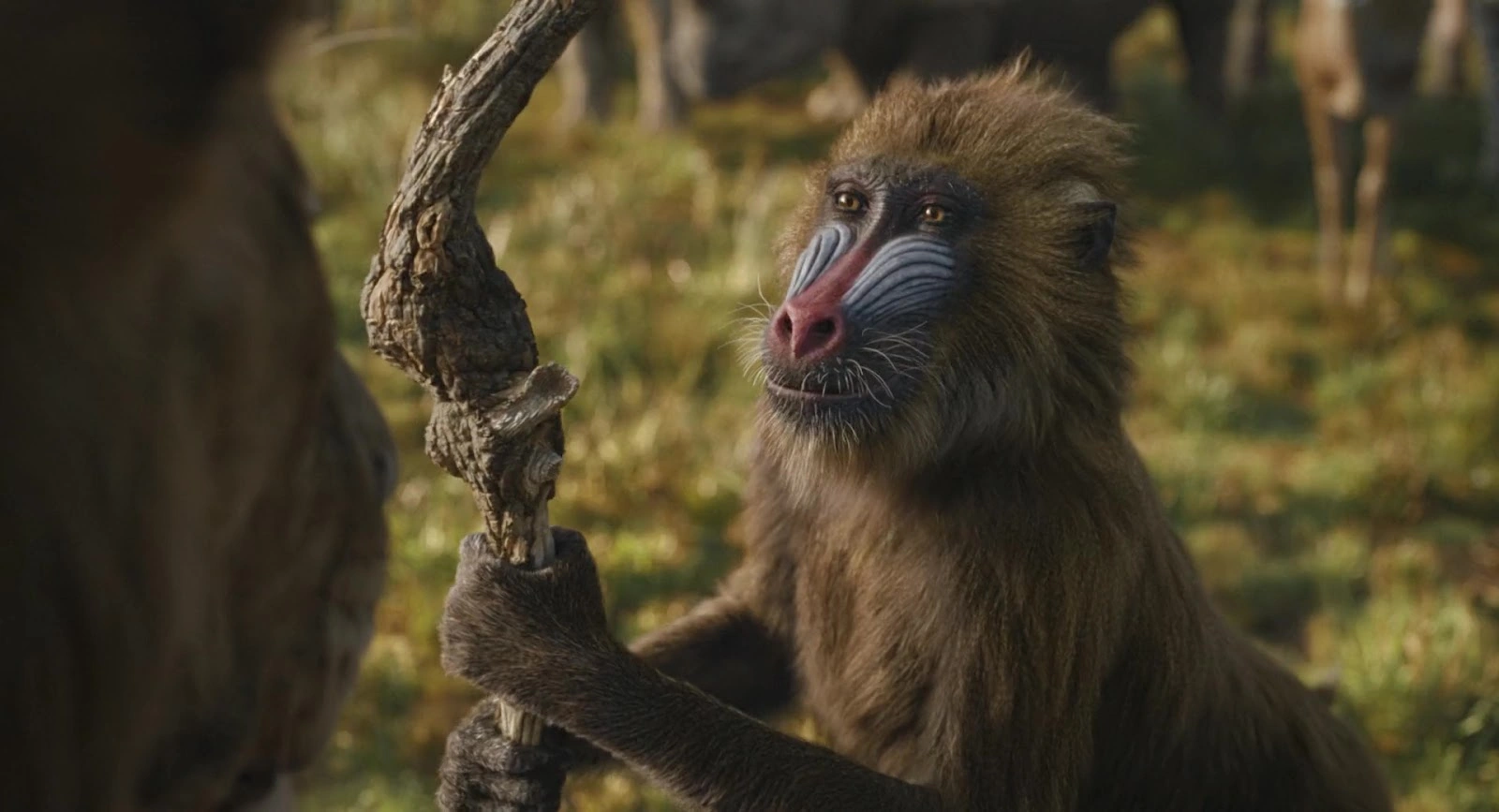 Mufasa: The Lion King screenshot 5