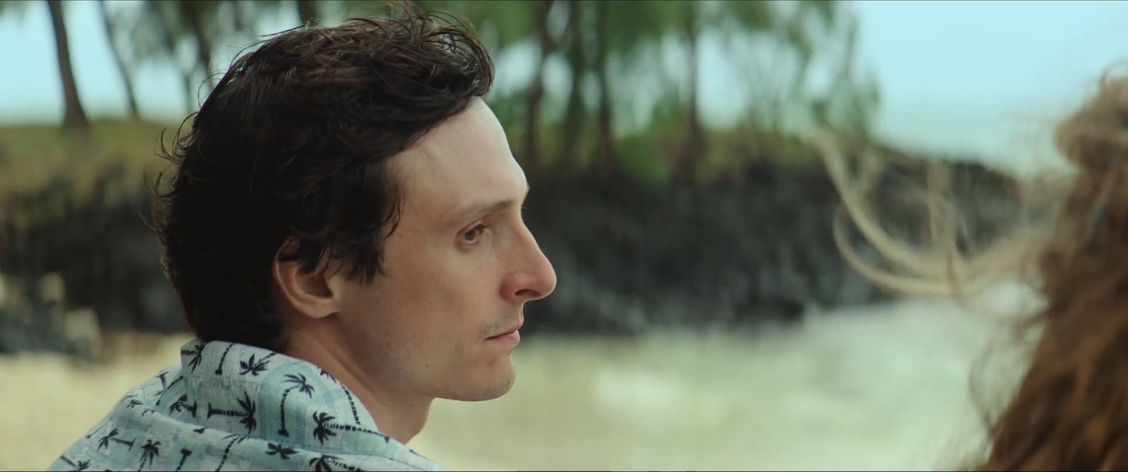 Honeymoon Crasher screenshot 1