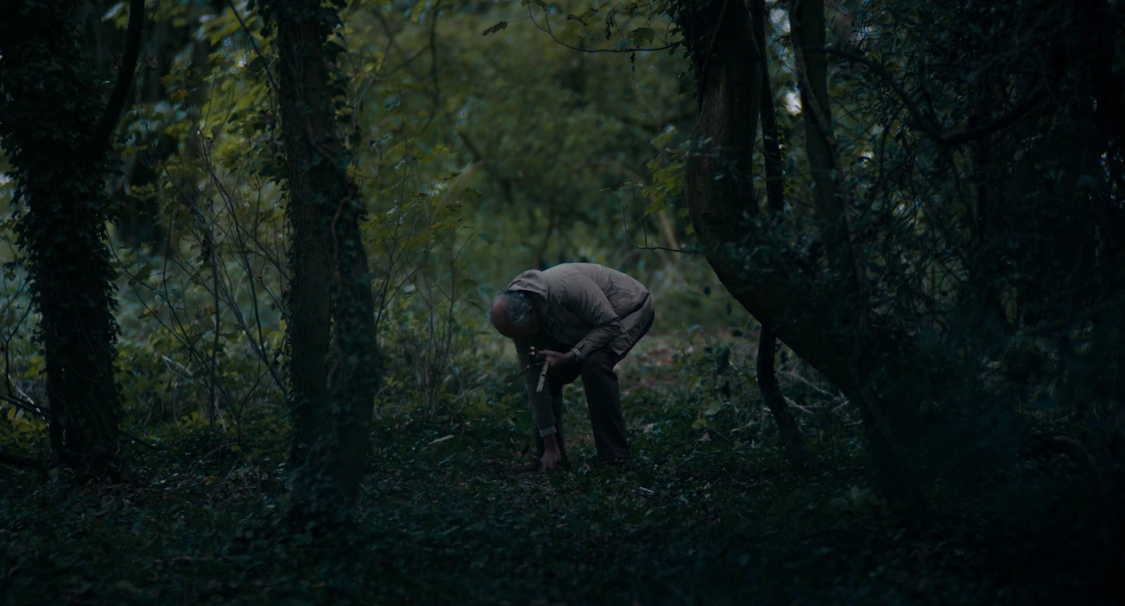 The Unlikely Pilgrimage of Harold Fry screenshot 4
