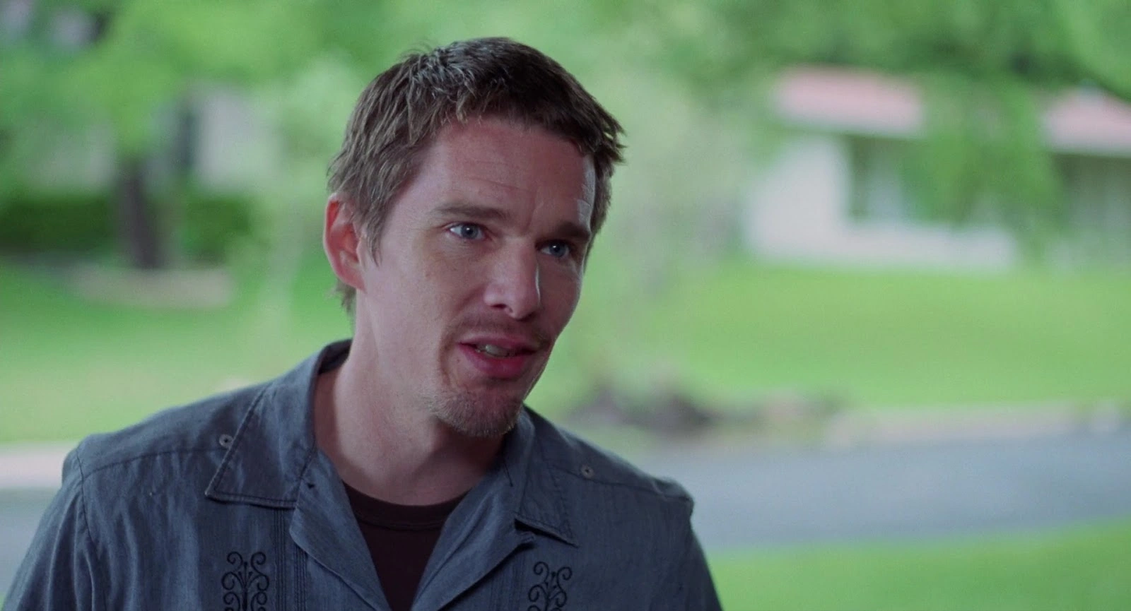 Boyhood screenshot 1