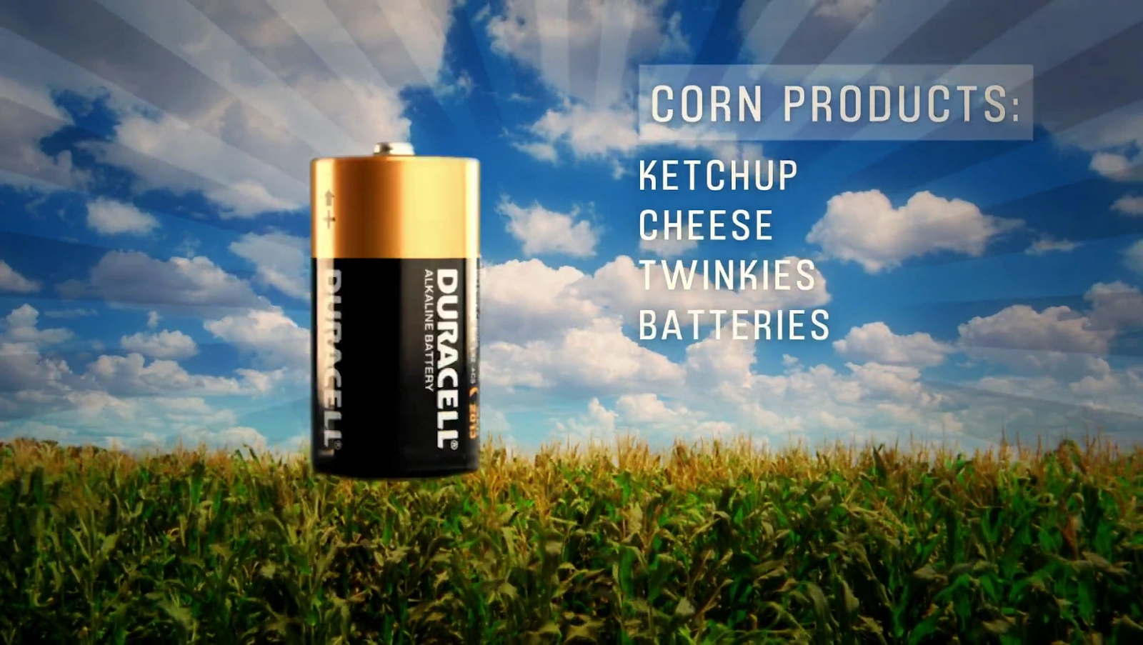 Food, Inc. screenshot 3