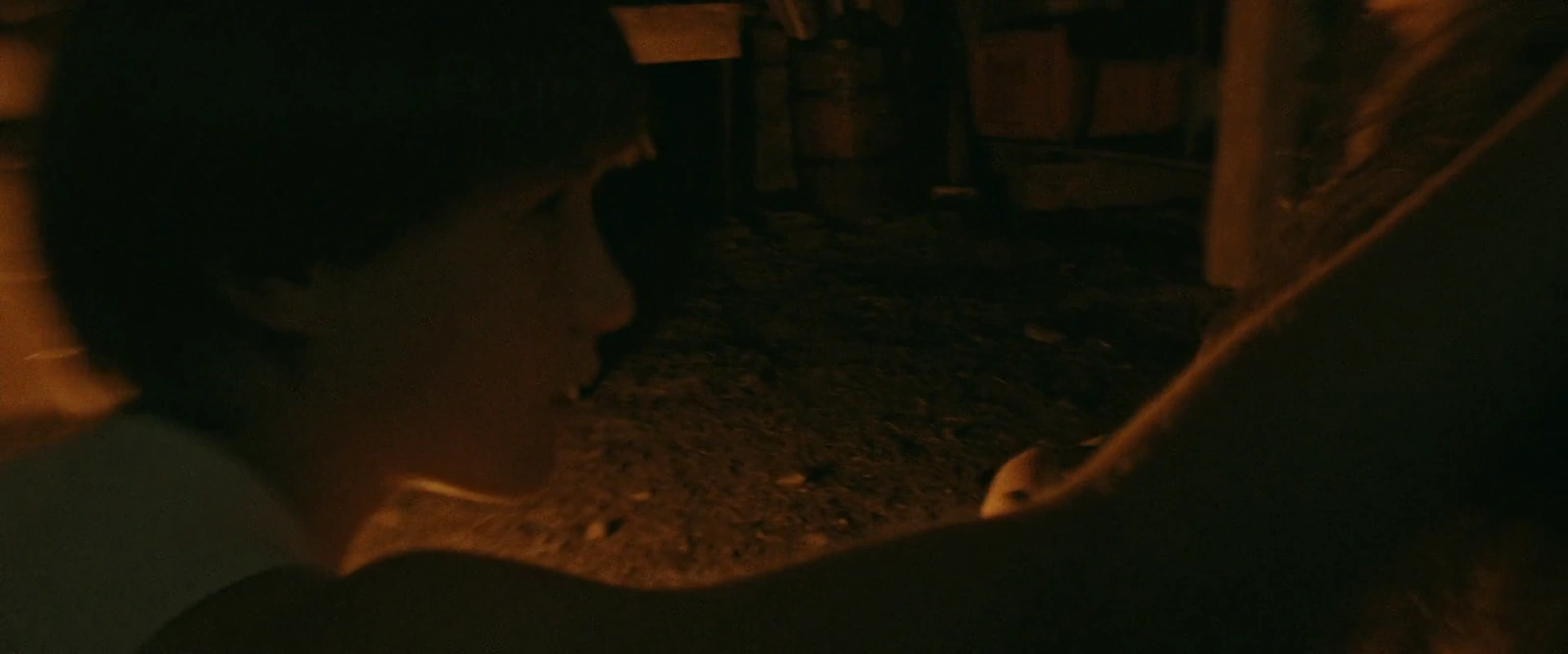 The Last Viking screenshot 5