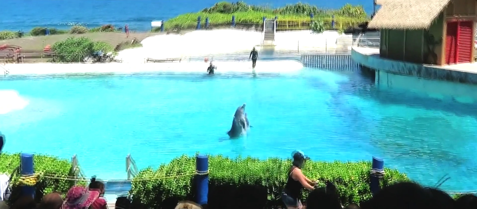 Apex Predators screenshot 5