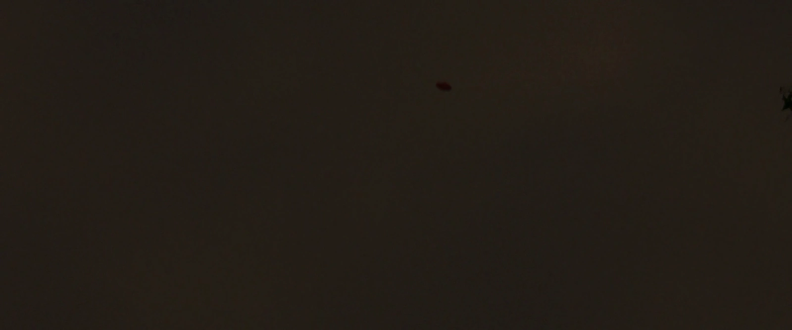 Black Box screenshot 3