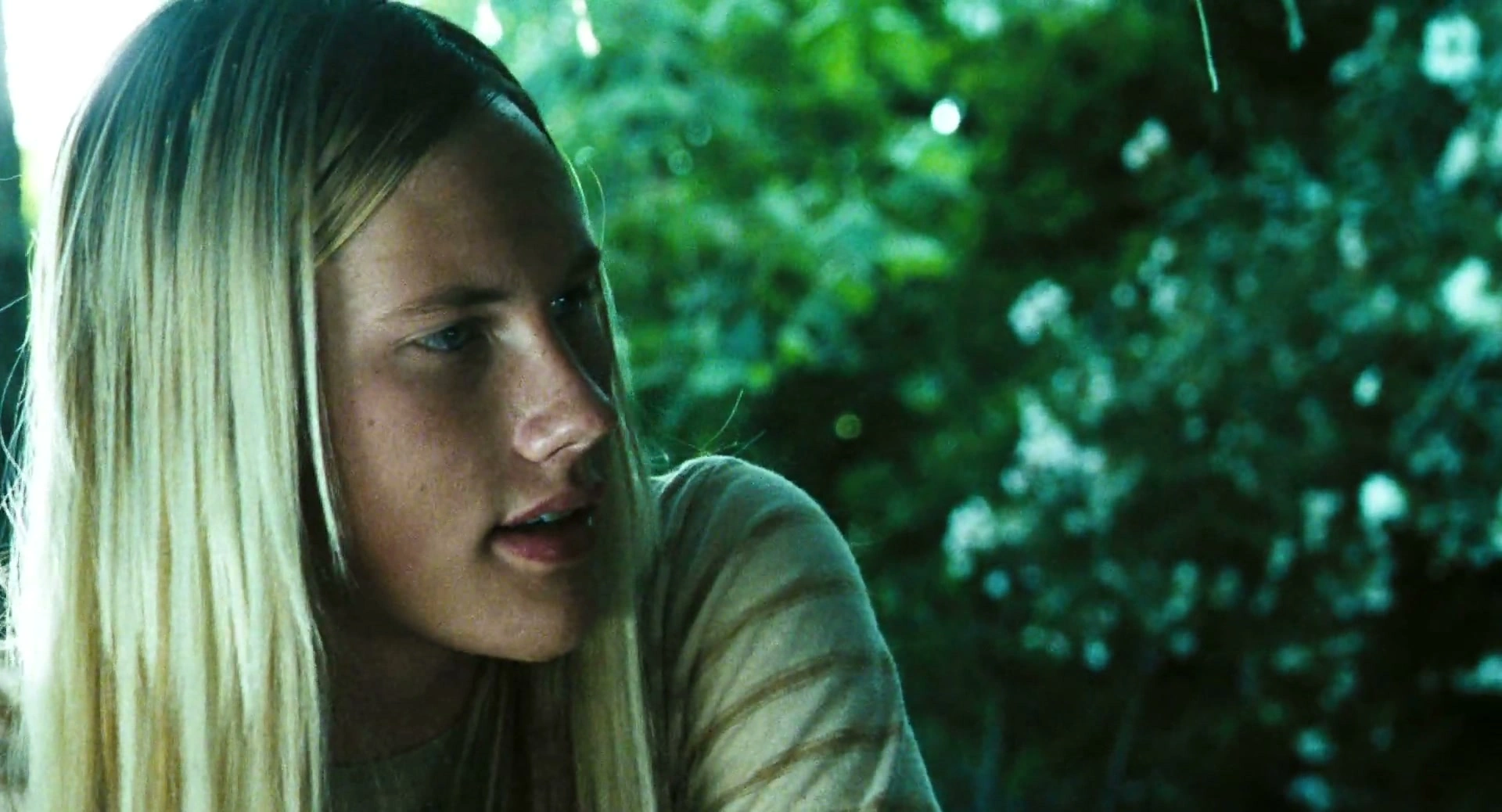 Lords of Dogtown screenshot 3