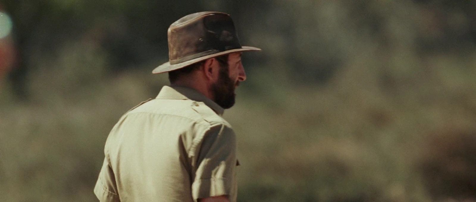Safari screenshot 1