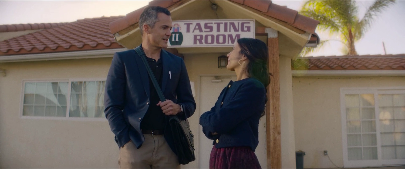 Holiday in the Vineyards screenshot 4