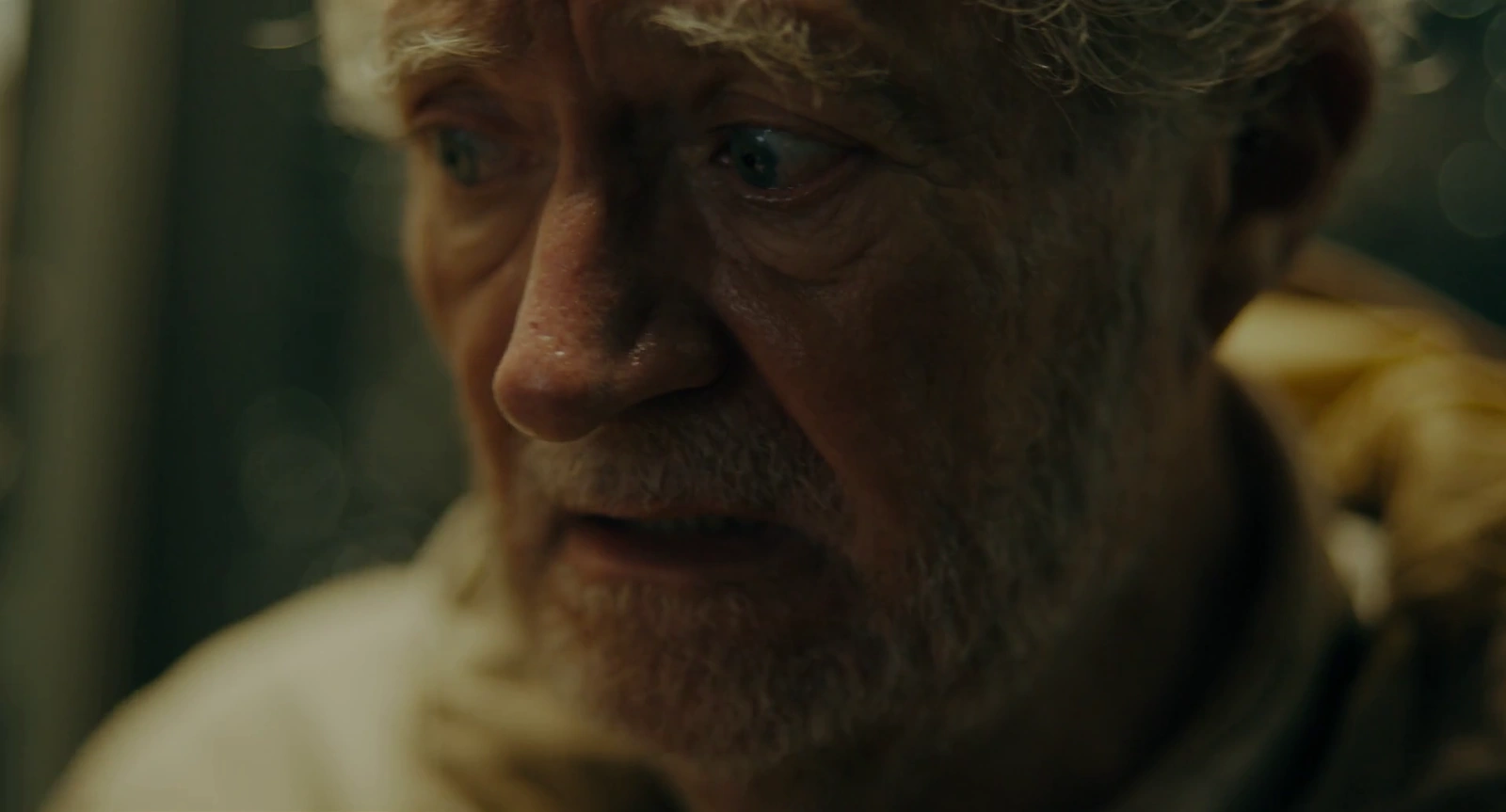 The Unlikely Pilgrimage of Harold Fry screenshot 1