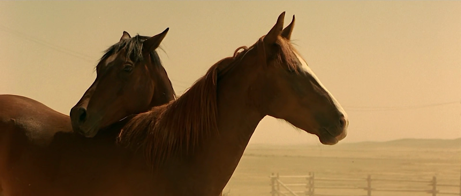 Running Free screenshot 4