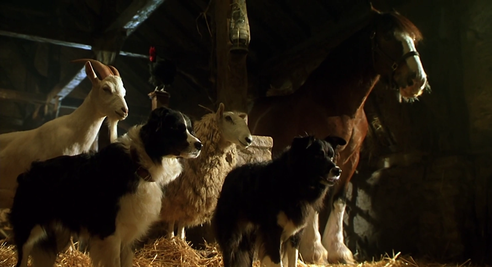Babe: Pig in the City screenshot 5
