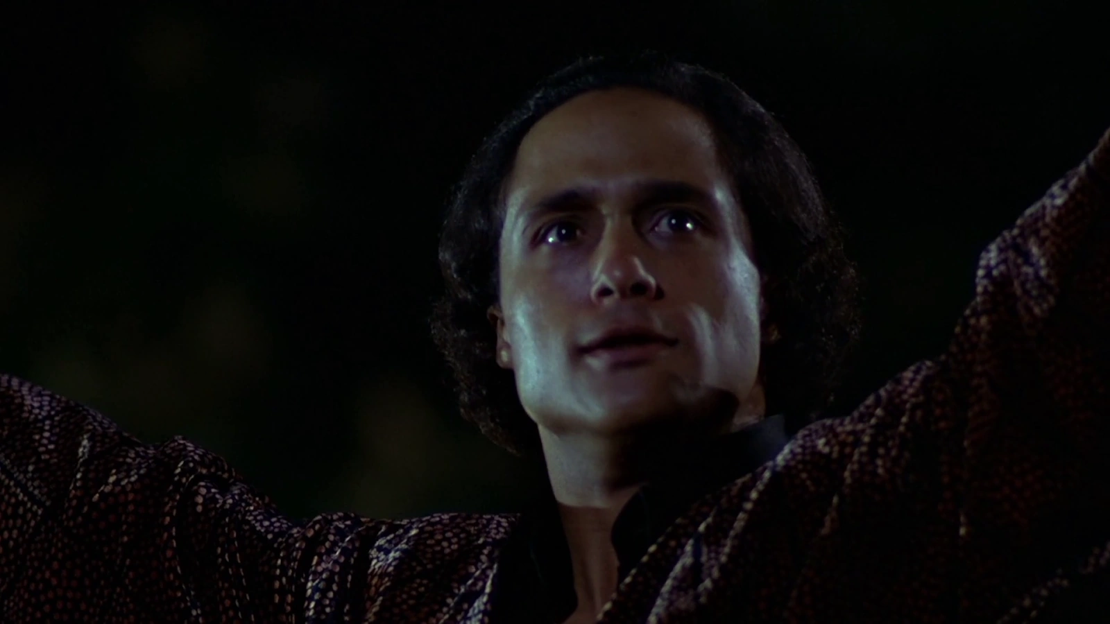 The Warriors screenshot 1