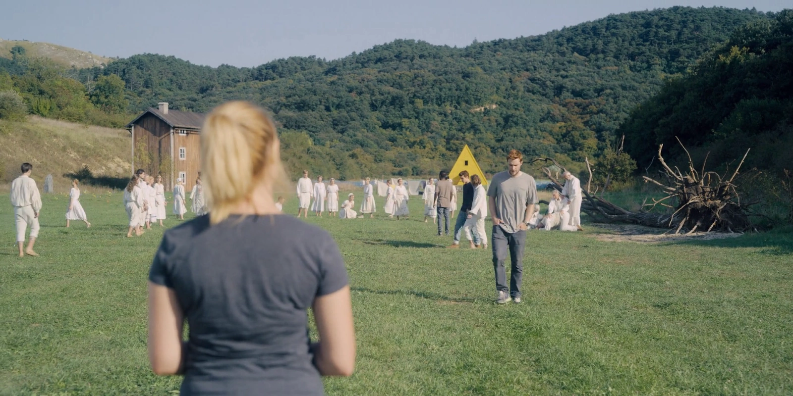 Midsommar screenshot 4