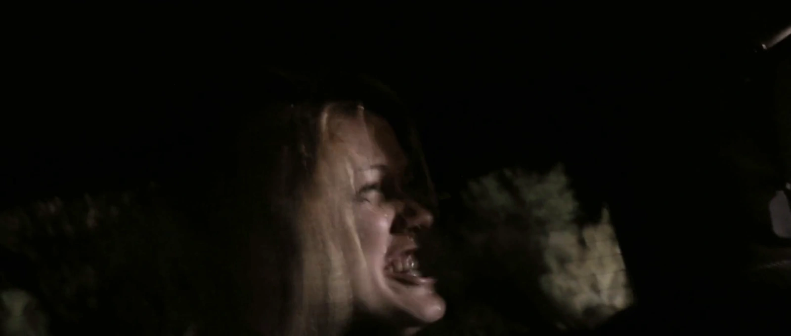 Bear screenshot 3