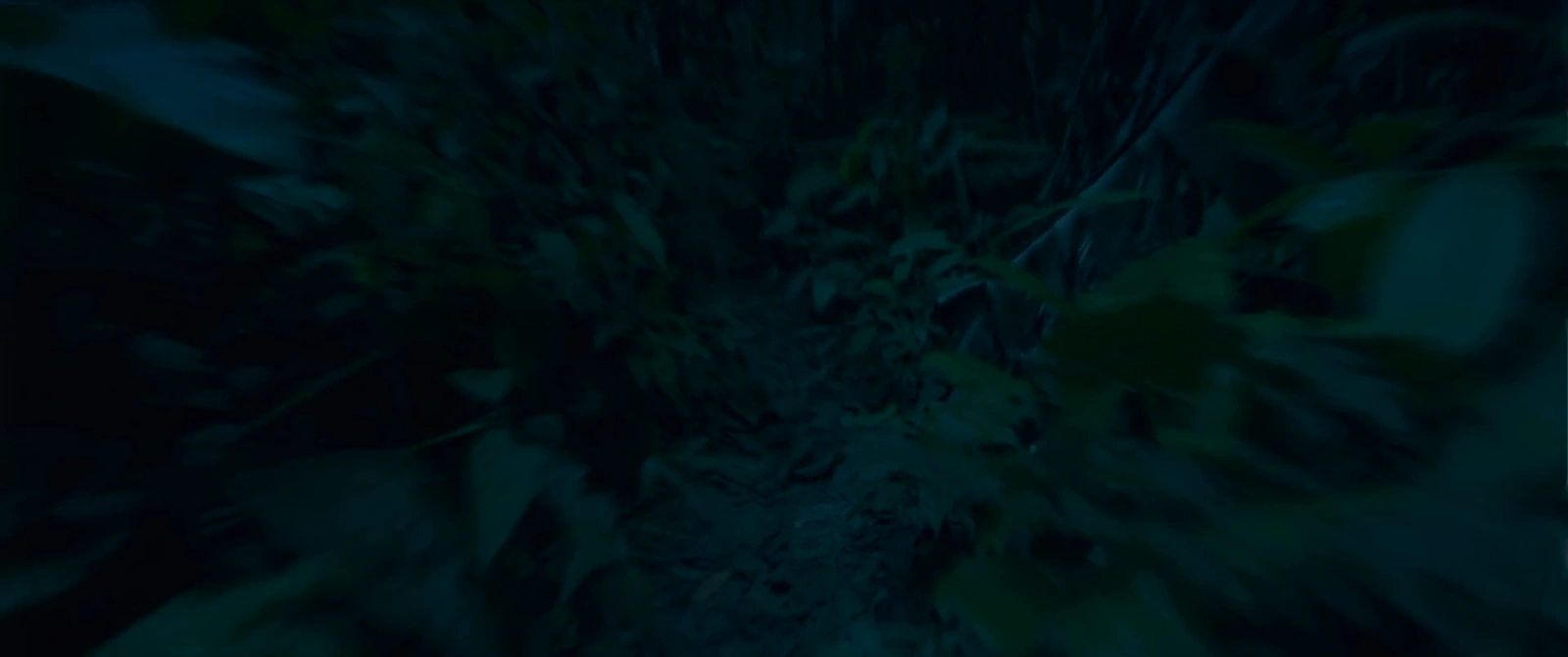 The Train of Death screenshot 3