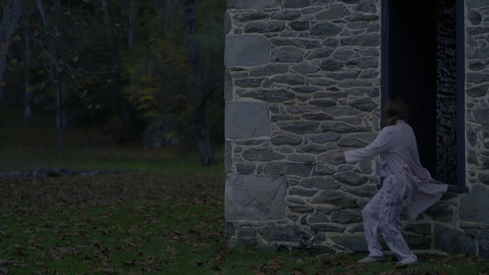 The Surprise Visit screenshot 2