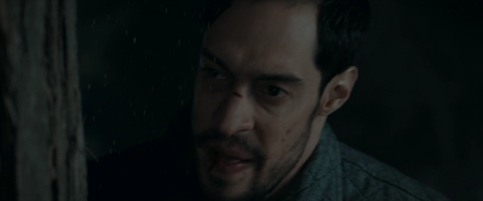 The Bad Shepherd screenshot 2