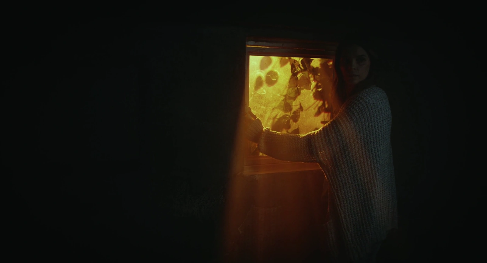 The Diary screenshot 3