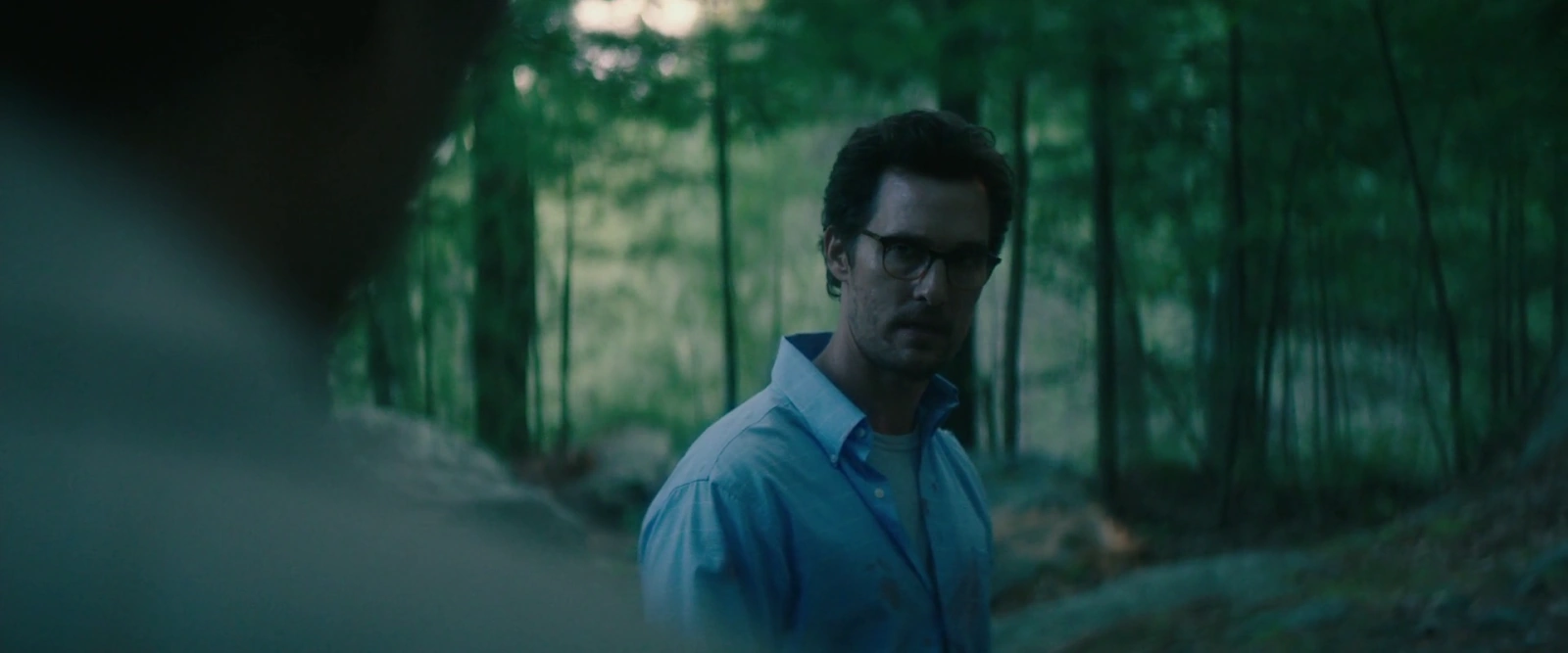 The Sea of Trees screenshot 2