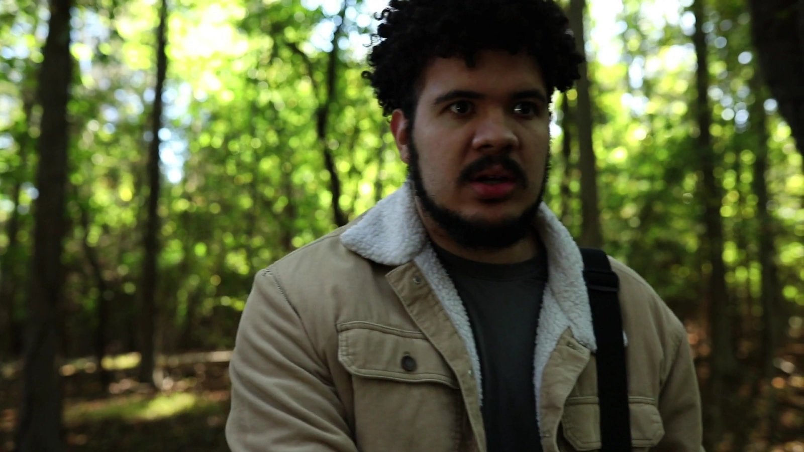 The Night of the Harvest screenshot 4