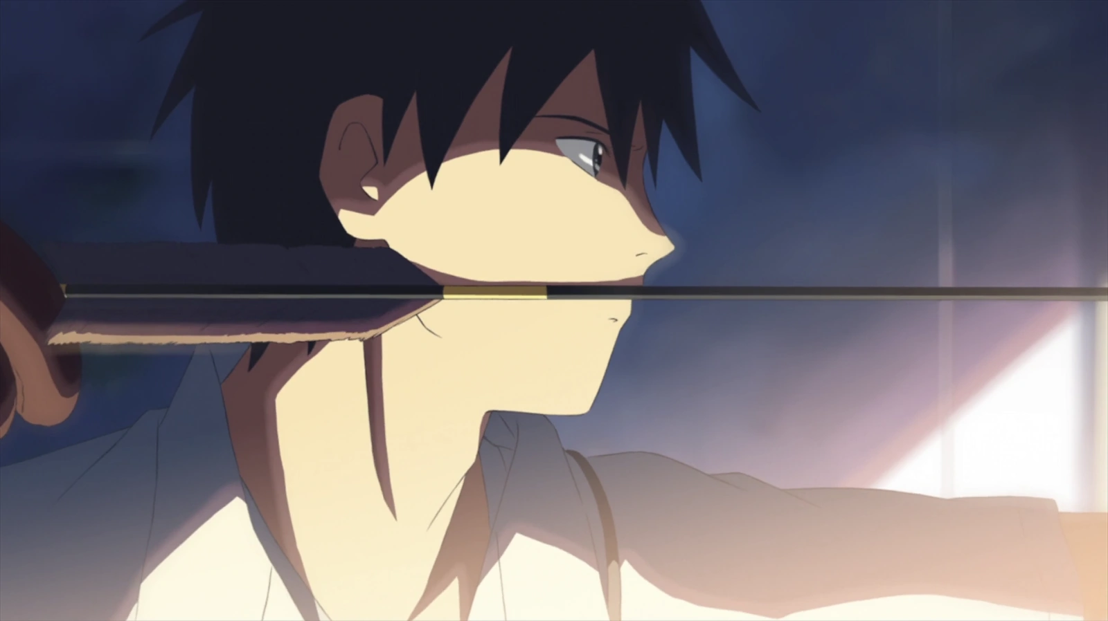 5 Centimeters per Second screenshot 5