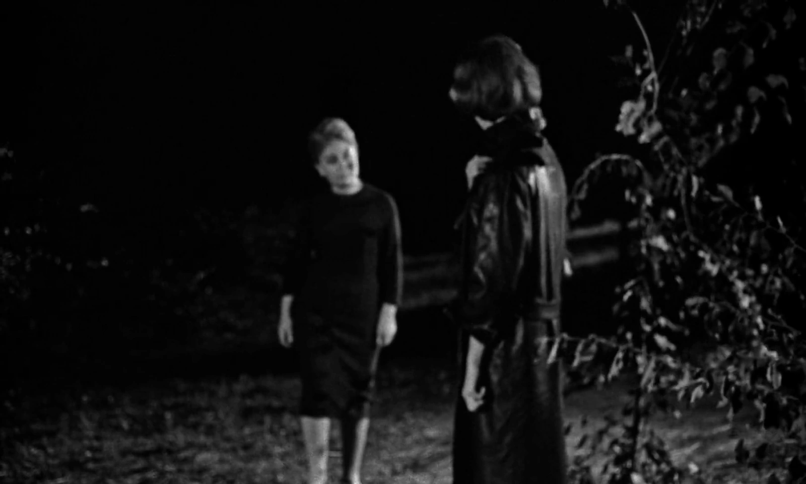 The Playgirls and the Vampire screenshot 1