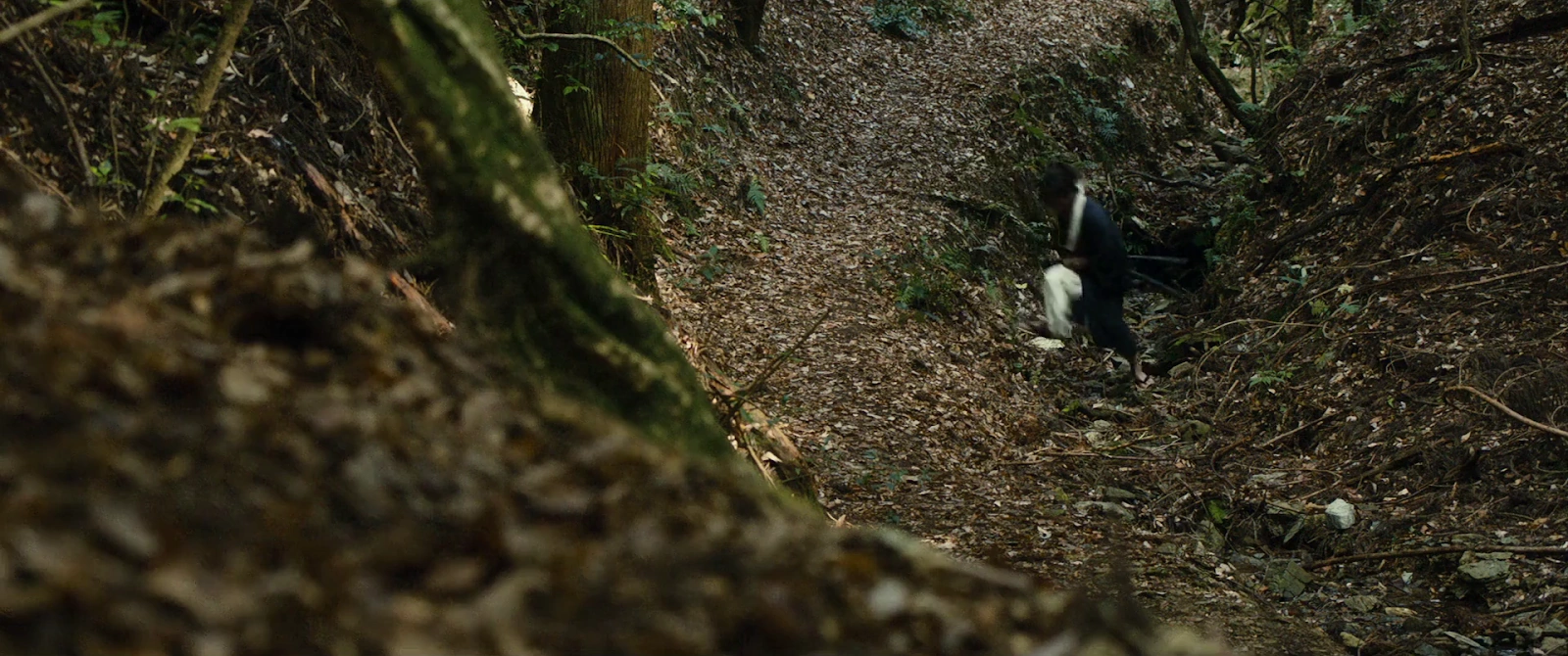 Blade of the Immortal screenshot 2