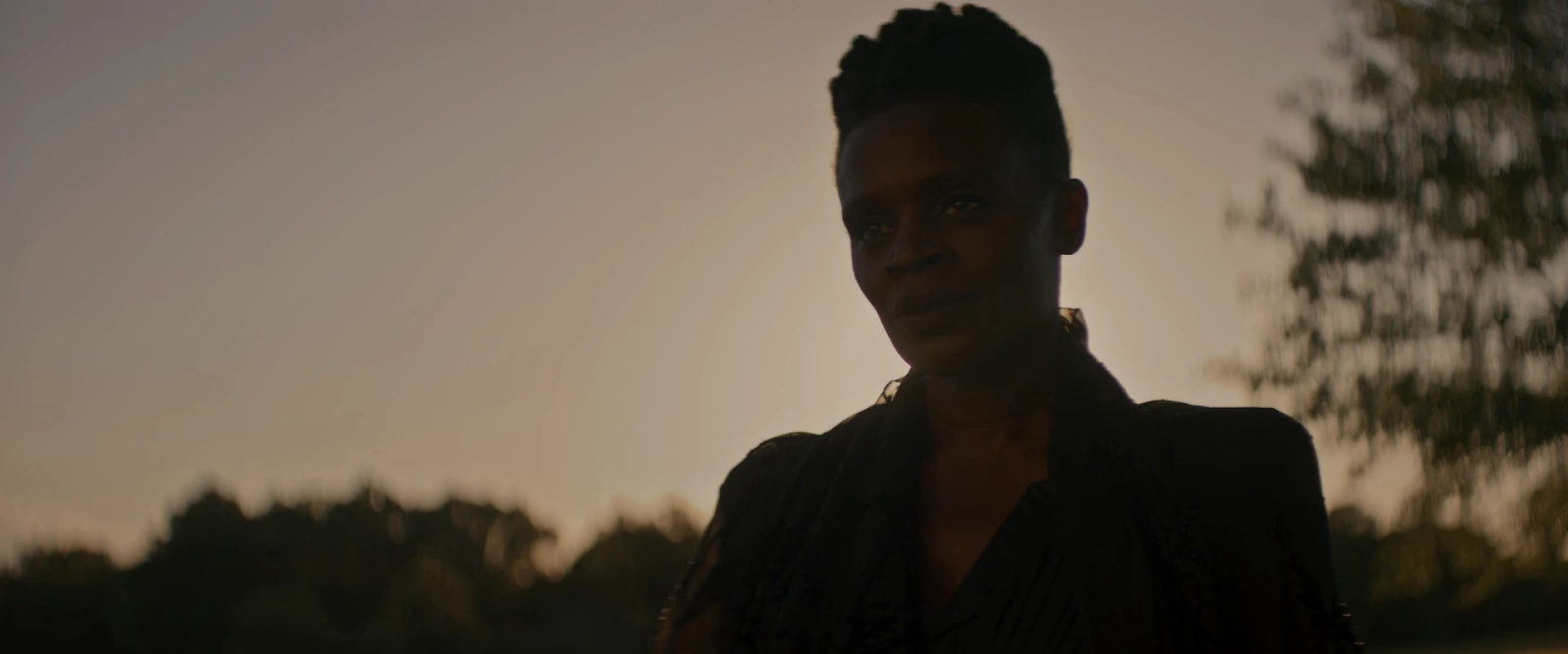 The Woman in the Yard screenshot 4