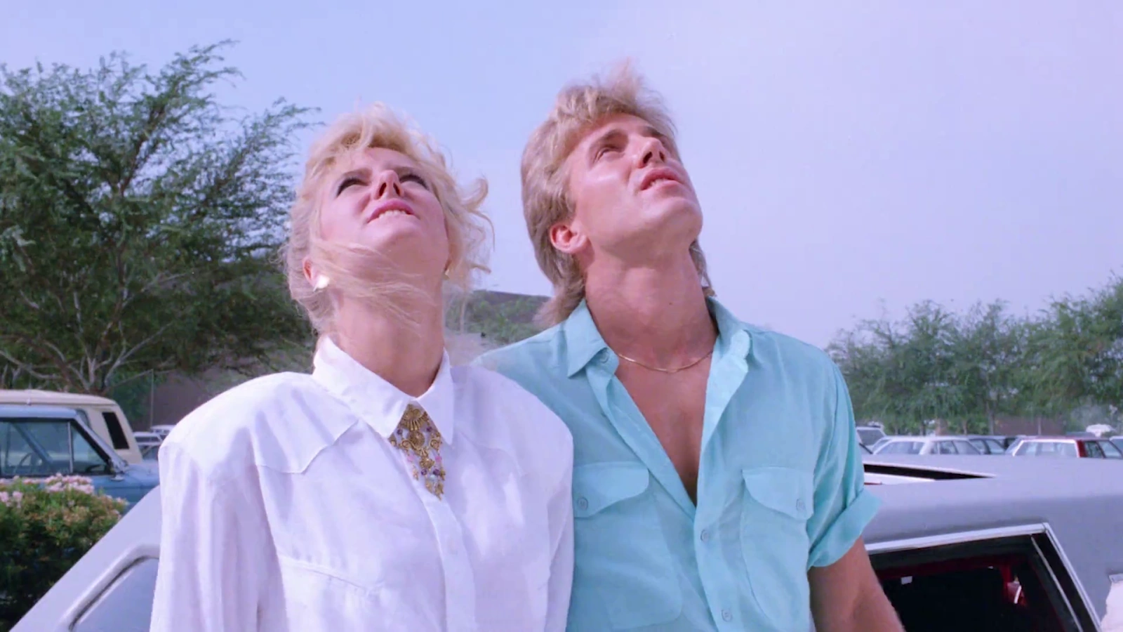 Hard Ticket to Hawaii screenshot 5