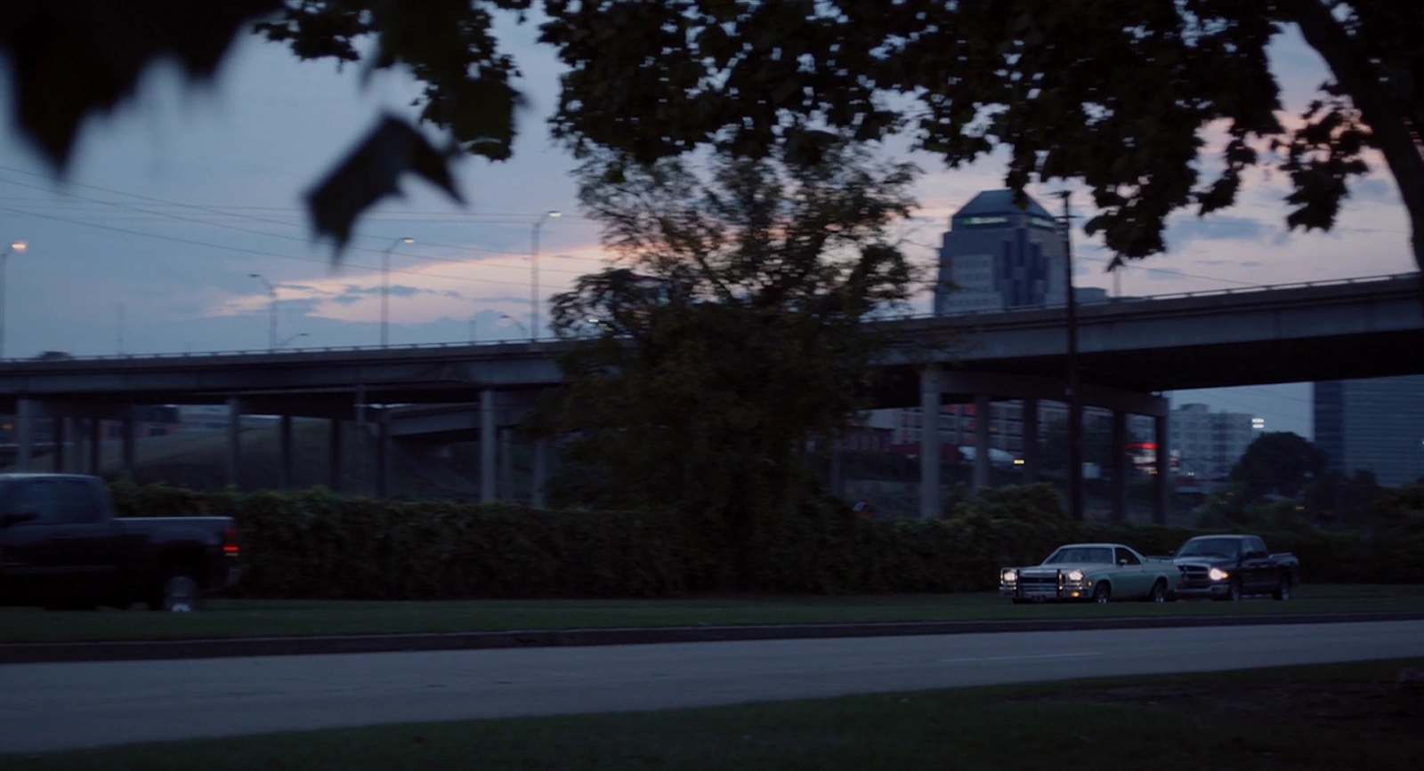 Leaves of Grass screenshot 2